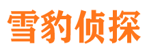 宾阳市调查公司